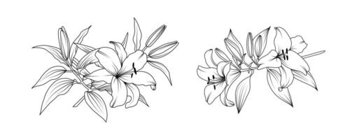 Lily flower arrangement line art on white background. Silhouette lilies botanical hand drawn element for wedding, greeting, invitation frame design illustration vector