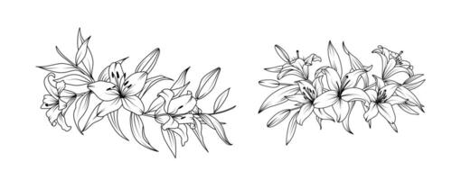 Lily flowers arrangement line art on white background. Silhouette lilies botanical hand drawn element for wedding, invitation frame design illustration vector