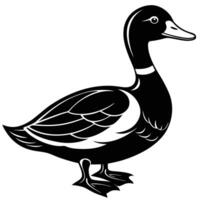 Modern Uses for Duck Silhouettes vector