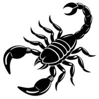 Exploring Beautiful Scorpion Silhouette Concepts vector