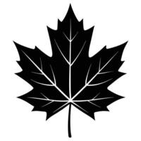 Exploring Beautiful Maple Leaf Silhouette Styles vector