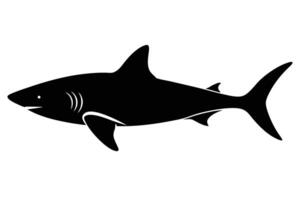 Exploring Shark Silhouette Design Ideas vector