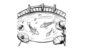 forms a sketch of a fish pond icon video