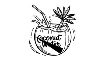 Animation forms a sketch of the coconut water icon video