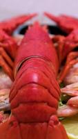 Close-up of a big cooked red lobster on crushed ice with lemon, lime on the side. Concept of fresh juicy whole lobster presented in a luxury way with wages of tropical fruits on the table in 4K. video