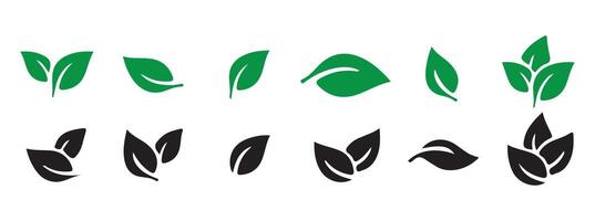 Leaves icon on transparent background. Collection green leaf vector