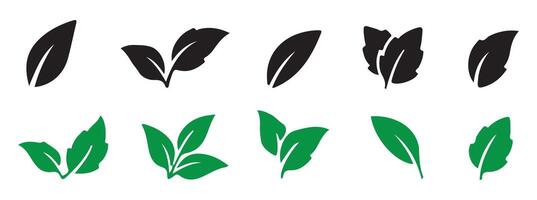 Nature icon leaf illustration eps 10 vector