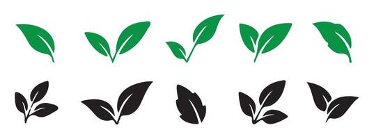 Leaf graphic elements and objects in a flat design. Illustration eps 10 vector
