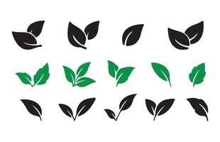 Plants Leaf Shapes Collection illustration eps 10 vector