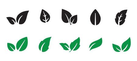 Leaf icon set. Set of decorative dividers elements vector
