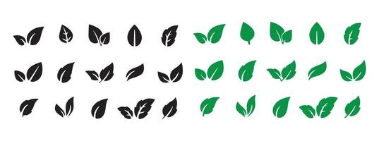 Leaf Shapes Collection. Leaf icon set vector