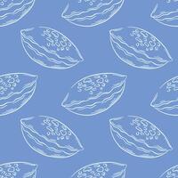 Seashell seamless pattern in line art style on blue background. Undersea design for textile, package, fish restaurant. illustration. vector