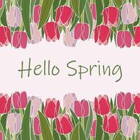 Hello Spring Tulip Flowers Frame Border Floral Background vector