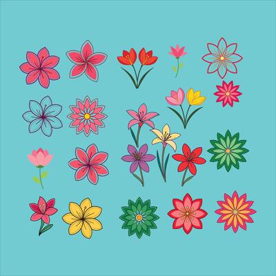 blooming flower illustration graphic design