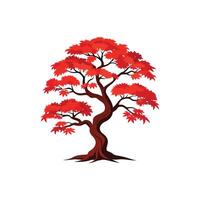 A red maple tree on a white background vector