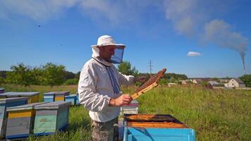 Beekeeper near the hives in nature. Apiculturist in protective hat working on apiary in rural place. Apiary on the background of industrial pipes with smoke. video