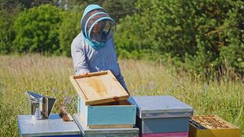Bee master on apiary. Man in protective hat works with chimney in the beehive. Beekeeper examining bees on a bee farm on green nature background. video