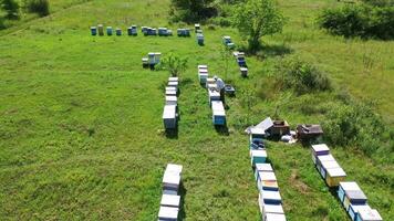 Beehive boxes on a bee farm. Wooden hives on the apiary in summer. Beekeeper works on the apiary. Apiculture process. Aerial view. video
