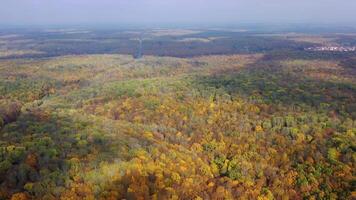 Panoramic view of autumn scenery. Beautiful woods in fall season. Colorful trees of forests. Nature background in the morning. Aerial view. video