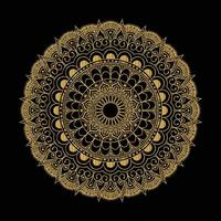 Luxury Mandala design decorative ethnic element background vector