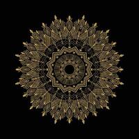 mandala design decorative ethnic element background vector