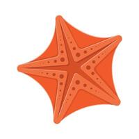 Starfish Flat Illustration. Clean Icon Design Element on Isolated White Background vector