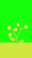 Investing For Financial Independent Or Financial Freedom On Vertical On Greenscreen Background 2D Cartoon Animation video
