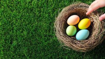 easter eggs in a nest on the green grass video
