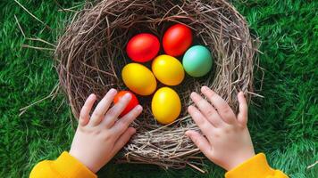 easter eggs in a nest on the grass video