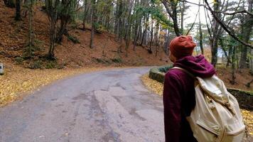 hipster man is enjoying nature in red sweater, walking alone in sunny forest at autumn day, backpacker is exploring area, hiking and relaxing video
