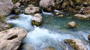 clean water is rushing through naturally formed rocks. Wonderful fresh water rapids waterfalls river flowing in autumn forest video