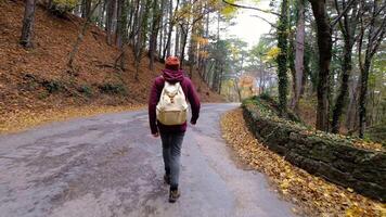 hipster man is enjoying nature, walking alone in sunny forest at autumn day, backpacker is exploring area, hiking and relaxing at atumn forest video