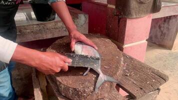 Crafting Handmade Wooden Artifacts from Natural Materials in a Rustic Workshop Setting video