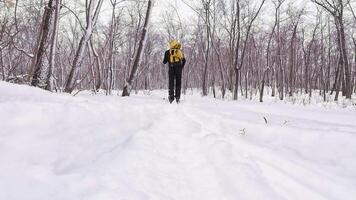 A lone hiker, dressed for cold weather, walks down a snowcovered trail in a serene winter forest, enjoying the peace and beauty of their wilderness adventure on this snowy day video