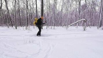 A hiker navigates a serene, snowy forest, with trees blanketed in snow, creating a tranquil atmosphere perfect for reflection and solitude, fostering a connection with nature video