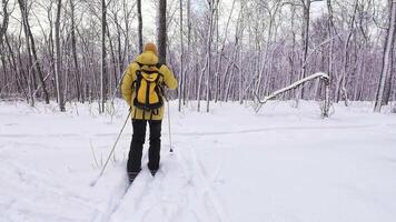 A person is hiking through a serene, snowy forest while using ski poles and carrying a bright yellow backpack. The trees surrounding this winter wonderland add to the peaceful atmosphere video