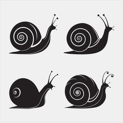 Snail on a Leaf Silhouette