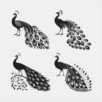 Peacock with Open Tail Silhouette vector