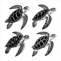 Turtle on a Beach Silhouette vector