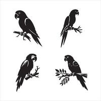 Elegant Parrots on Branches vector