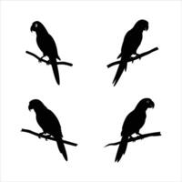 Minimalist Parrots on Branches Designs vector