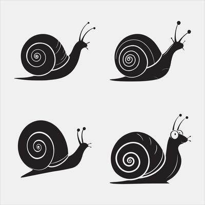 Minimalist Snail and Leaf Design