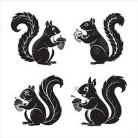 Squirrel Holding a Nut Silhouette vector