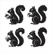Bold Squirrel with Nut Design vector