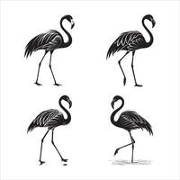 Bold Flamingo Pose Design vector