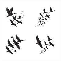 Clean Flock in Flight Illustration vector