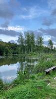 Verdant lakeside tranquility serene reflection and lush greenery under a cloudkissed sky video