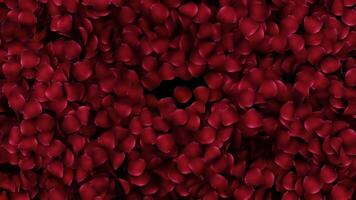 Animation petals of roses in a heart with alpha channel video