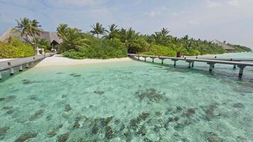 The amazing wild beach of the island of Maldives in the Indian Ocean. Azure water and palm trees. bridges, stages, Palm shadow on the white sand video