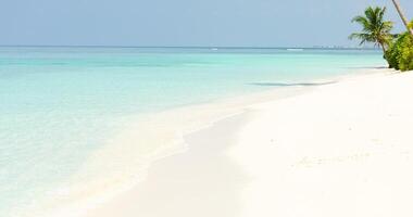 The amazing wild beach of the island of Maldives in the Indian Ocean. Azure water and palm trees. Palm shadow on the white sand video